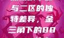 探索精华区与二区的独特差异，金三角下的88888故事