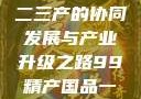 探索中国产业新篇章，一二三产的协同发展与产业升级之路99精产国品一二三产区区观看