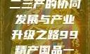 探索中国产业新篇章，一二三产的协同发展与产业升级之路99精产国品一二三产区区观看
