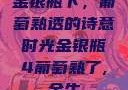 金银瓶下，葡萄熟透的诗意时光金银瓶4葡萄熟了,金牛