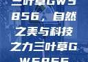 三叶草GW5856，自然之美与科技之力三叶草GW5856