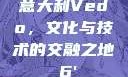 意大利Vedo，文化与技术的交融之地с6'