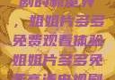 探索高清电视剧的新世界，姐姐片多多免费观看体验姐姐片多多免费高清电视剧在线观看