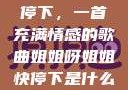 姐姐呀姐姐快停下，一首充满情感的歌曲姐姐呀姐姐快停下是什么歌曲小说