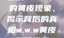 探索w.w.w下的黄皮现象，揭示背后的真相w.w.w黄皮磨菇招商