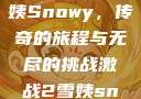激战2中的雪姨Snowy，传奇的旅程与无尽的挑战激战2雪姨snowy国语版