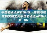 中国老太太WBBHD，传统与现代的交融之美中国老太太wBBHD AV