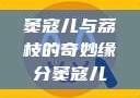 窦寇儿与荔枝的奇妙缘分窦寇儿