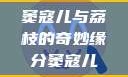 窦寇儿与荔枝的奇妙缘分窦寇儿