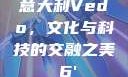 意大利Vedo，文化与科技的交融之美с6'