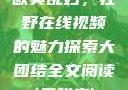 欧美乱妇，狂野在线视频的魅力探索大团结全文阅读(无弹窗)