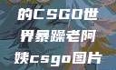 暴躁老阿姨的CSGO世界暴躁老阿姨csgo图片高清在线观看