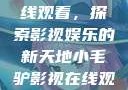 小毛驴影视在线观看，探索影视娱乐的新天地小毛驴影视在线观看6996集