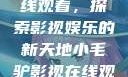 小毛驴影视在线观看，探索影视娱乐的新天地小毛驴影视在线观看6996集
