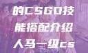 暴躁老阿姨的CSGO技能搭配介绍人马一级csgo交易网站