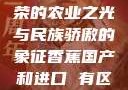 香蕉国产，繁荣的农业之光与民族骄傲的象征香蕉国产和进口 有区别吗