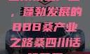 四川桑蚕产业，蓬勃发展的BBB桑产业之路桑四川话啥意思