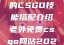 暴躁老阿姨的CSGO技能搭配介绍老外免费csgo网站2023