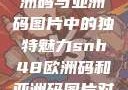 SNH48在欧洲码与亚洲码图片中的独特魅力snh48欧洲码和亚洲码图片对比