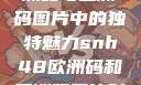 SNH48在欧洲码与亚洲码图片中的独特魅力snh48欧洲码和亚洲码图片对比