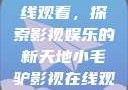 小毛驴影视在线观看，探索影视娱乐的新天地小毛驴影视在线观看6996集