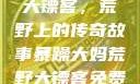 暴躁大妈荒野大镖客，荒野上的传奇故事暴躁大妈荒野大镖客免费观看