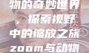 Zoom与动物的奇妙世界，探索视野中的缩放之旅zoom与动物zoom大全