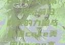 CEKE美国BNDEAO高，探索前沿科技的力量与价值ceke美国bnдeo高清videos