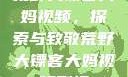 荒野大镖客大妈视频，探索与致敬荒野大镖客大妈视频剧情
