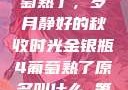 金银瓶下的葡萄熟了，岁月静好的秋收时光金银瓶4葡萄熟了原名叫什么_第01集