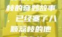 窦寇儿与荔枝的奇妙故事，已经塞了八颗荔枝的他窦寇儿