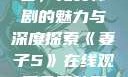 妻子5在线观看，免费韩剧的魅力与深度探索《妻子5》在线观看免费韩剧全集