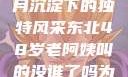 东北老阿姨的魅力，岁月沉淀下的独特风采东北48岁老阿姨叫的没谁了吗为什么还要叫她呢