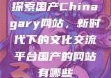 探索国产Chinagary网站，新时代下的文化交流平台国产的网站有哪些