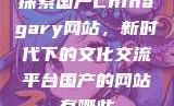 探索国产Chinagary网站，新时代下的文化交流平台国产的网站有哪些