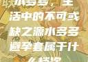 水多多，生活中的不可或缺之源水多多避孕套属于什么档次
