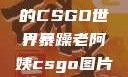 暴躁老阿姨的CSGO世界暴躁老阿姨csgo图片高清在线观看
