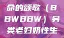 另类视角下的老妇奶性与生命的颂歌（BBWBBW）另类老妇奶性生BBwBBw肥婆BBX