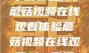 观看NBA赛事的新选择，蘑菇视频在线观看体验蘑菇视频在线观看nba直播免费