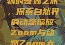 Zoom与动物的奇妙之旅，探索自然界的动态缩放Zoom与动物Zoom大全美国