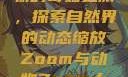 Zoom与动物的奇妙之旅，探索自然界的动态缩放Zoom与动物Zoom大全美国