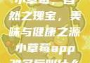 小草莓，自然之瑰宝，美味与健康之源小草莓app改名后叫什么