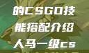 暴躁老阿姨的CSGO技能搭配介绍人马一级csgo交易网站