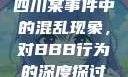 四川某事件中的混乱现象，对BBB行为的深度探讨