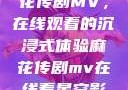 星空下的麻花传剧MV，在线观看的沉浸式体验麻花传剧mv在线看星空影视评价