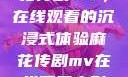 星空下的麻花传剧MV，在线观看的沉浸式体验麻花传剧mv在线看星空影视评价