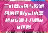 三叶草m码与欧洲码的区别ysl水蜜桃86满十八和88区别