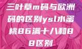 三叶草m码与欧洲码的区别ysl水蜜桃86满十八和88区别