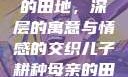 儿子耕种母亲的田地，深层的寓意与情感的交织儿子耕种母亲的田地的寓意电影