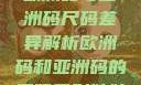 欧洲码与亚洲码尺码差异解析欧洲码和亚洲码的尺码区别妹妹